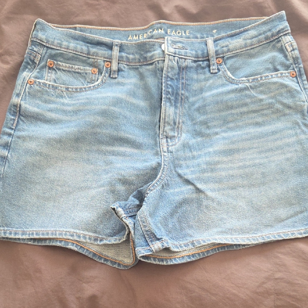 American Eagle Outfitters Light Blue Jean Shorts